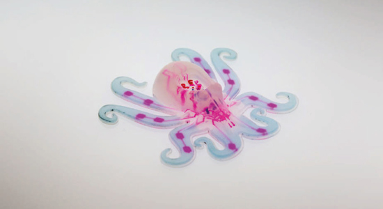 第一个全软体自主机器人