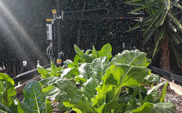 FarmBot cnc small scale farming machine in garden