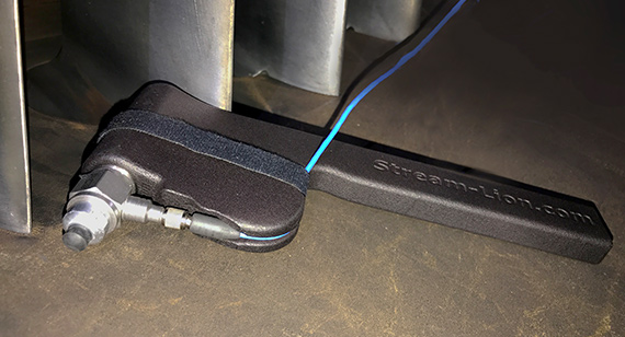 Caso di工作室流狮子