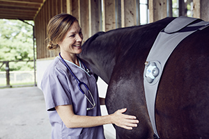 Caso di studio Piavita