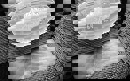 Dog & Bone art project created by Eli Castelli