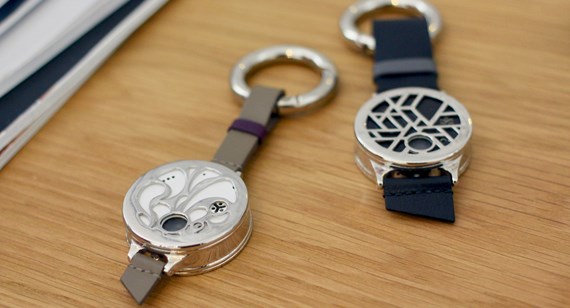 Caso di工作室IEVA