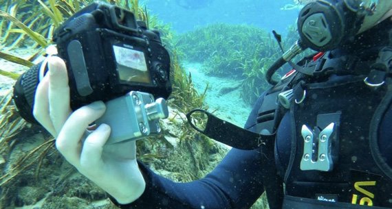 Diver holding a camera underwater