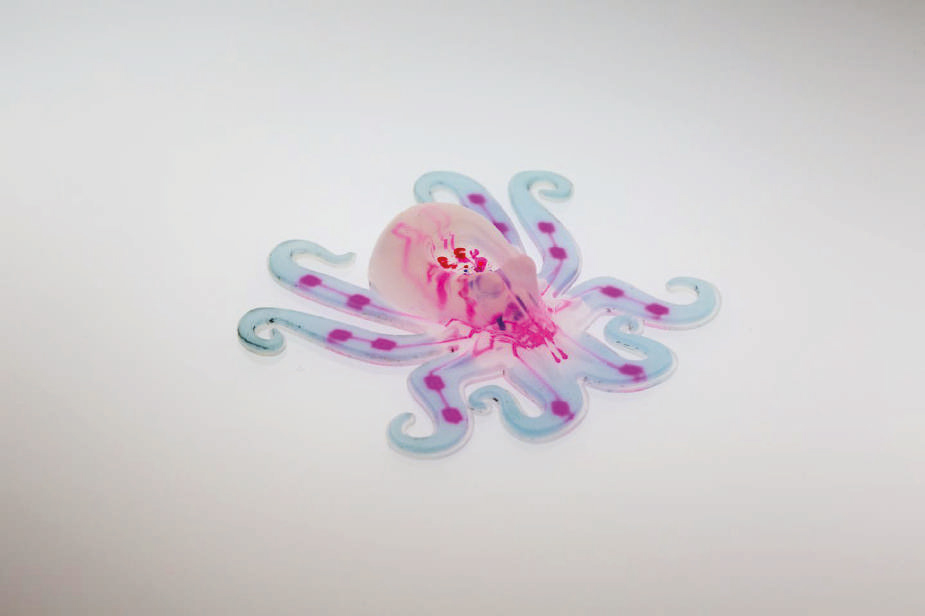 第一个全软体自主机器人