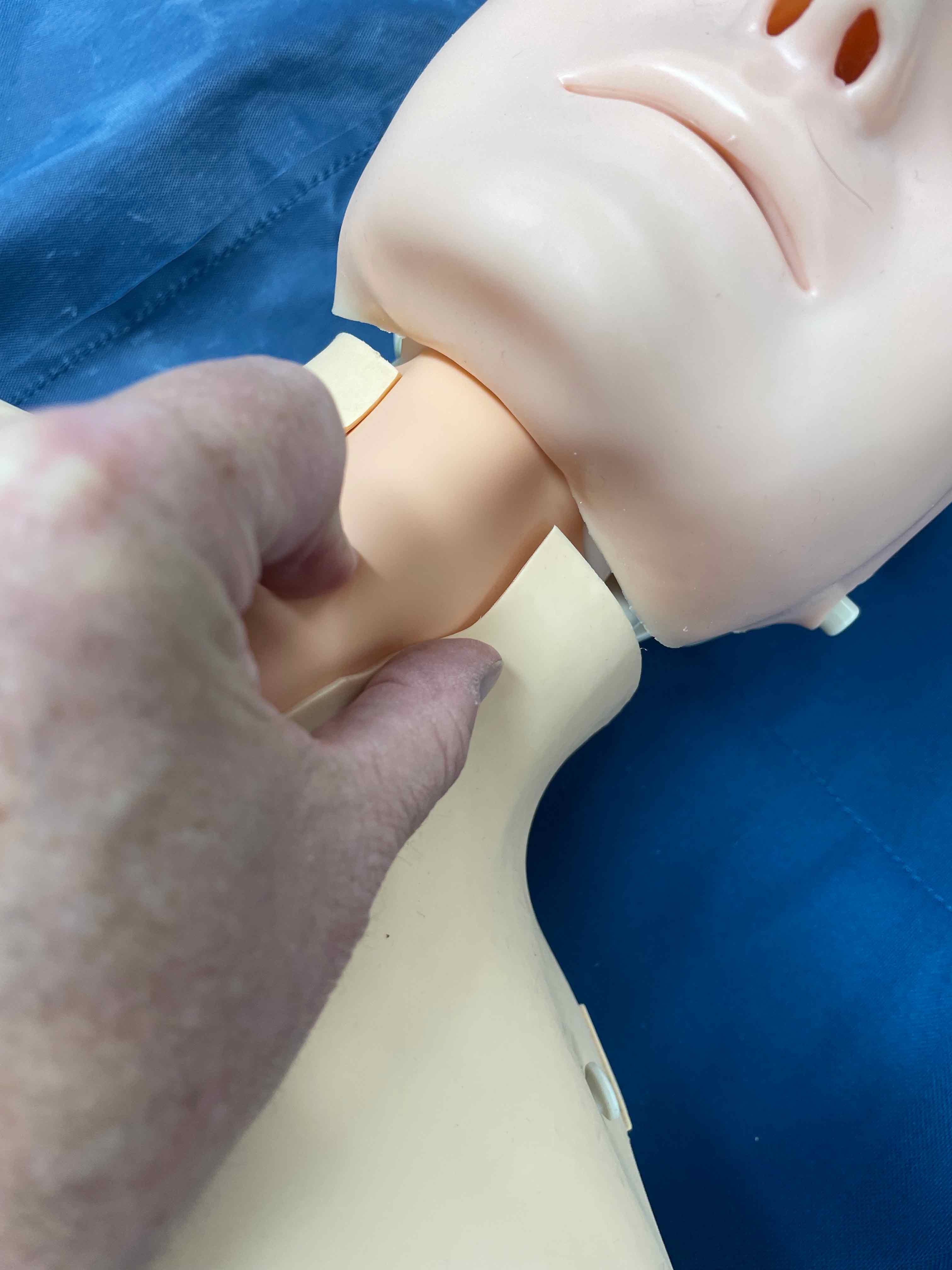 British Association for Immediate Care (BASICS)